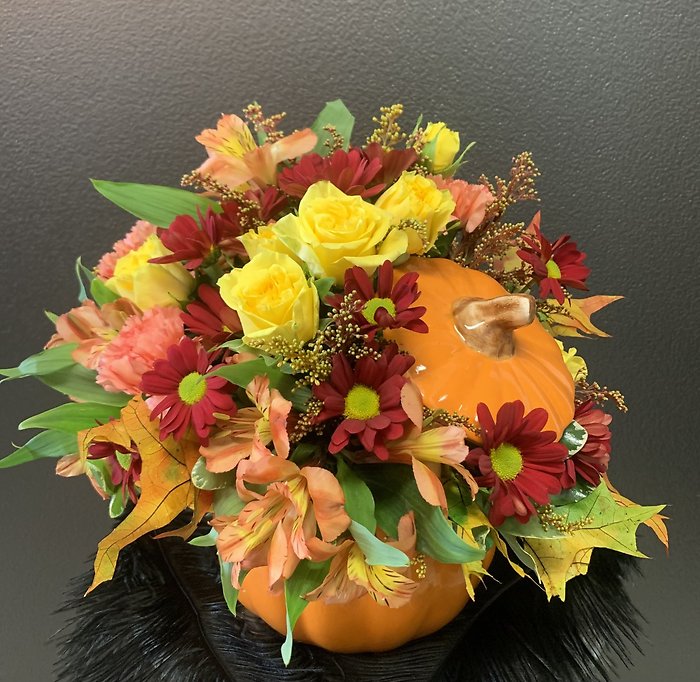 Pumpkin in Bloom